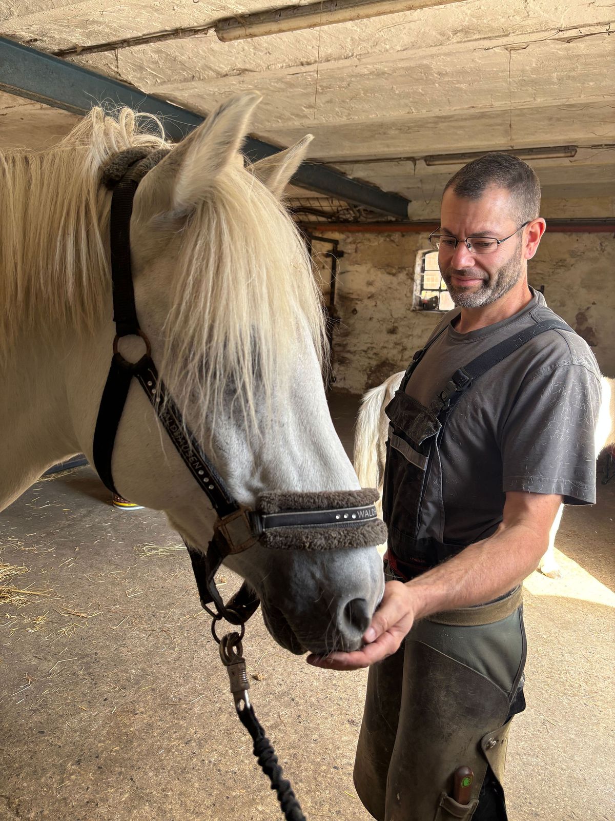 Dennis Pfeifer mit einem Pferd