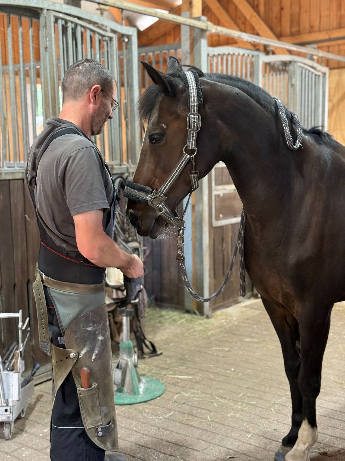 Dennis Pfeifer mit einem Pferd in der Stallgasse